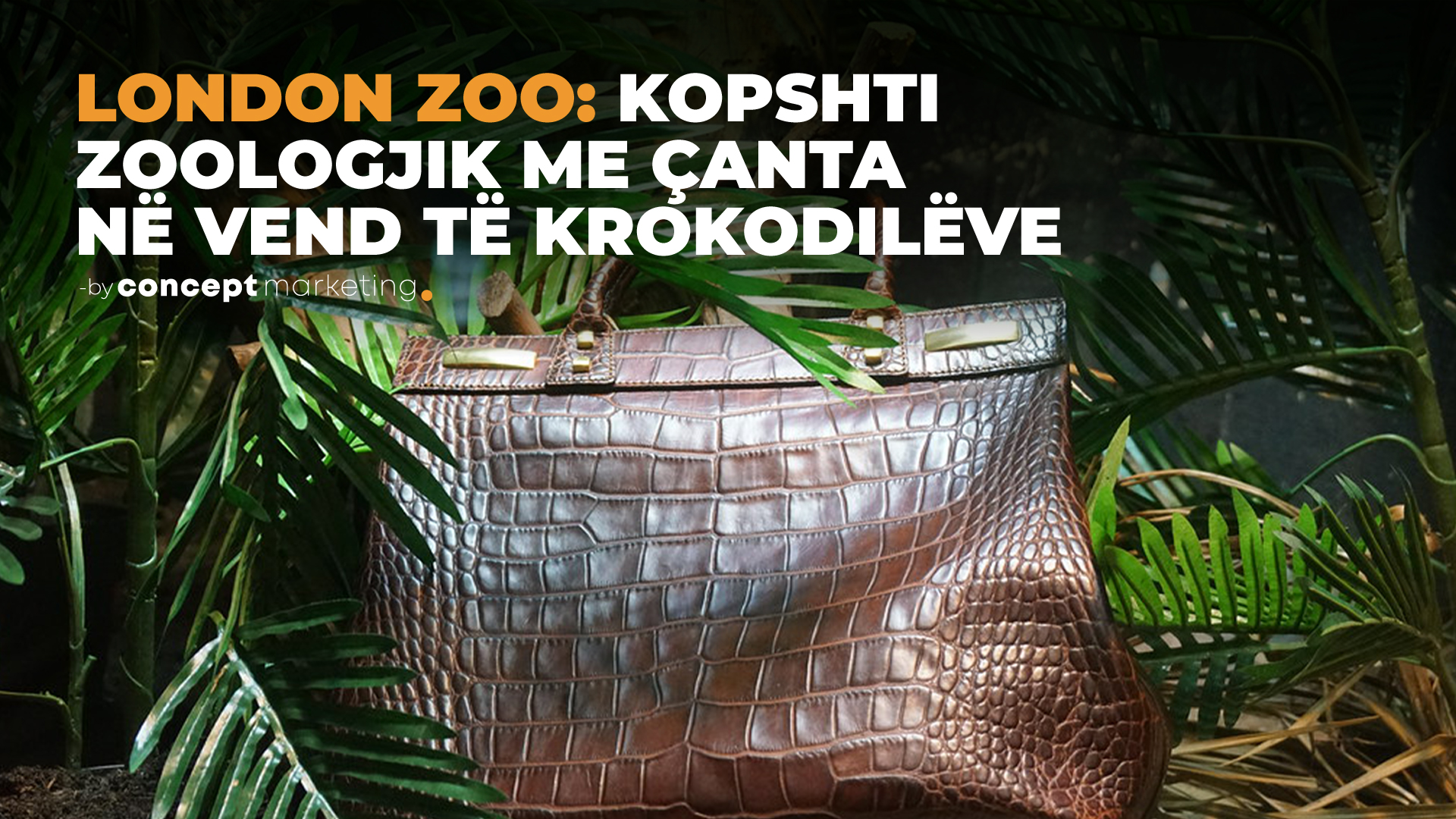 London Zoo: Kopshti zoologjik me çanta në vend të krokodilëve